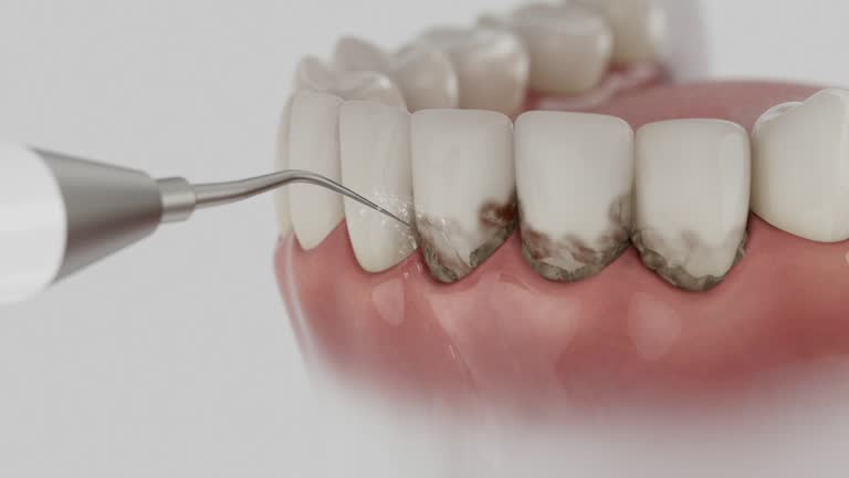 Reliable Dental contractor in North Laurel, MD by Dentist Open Now